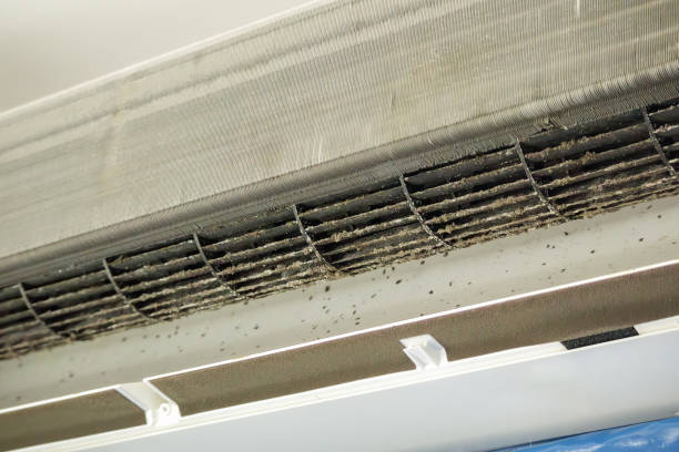 Best Air Vent Cleaning Services  in Pomona, NJ